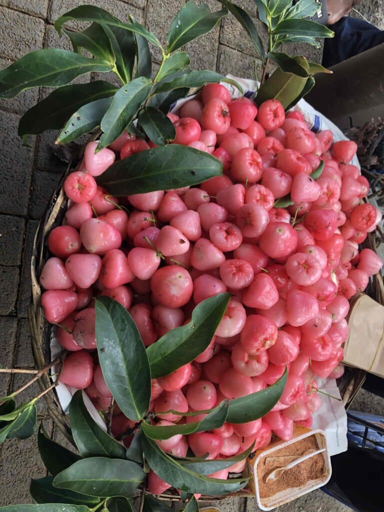 fruit tropicaux - jamalac