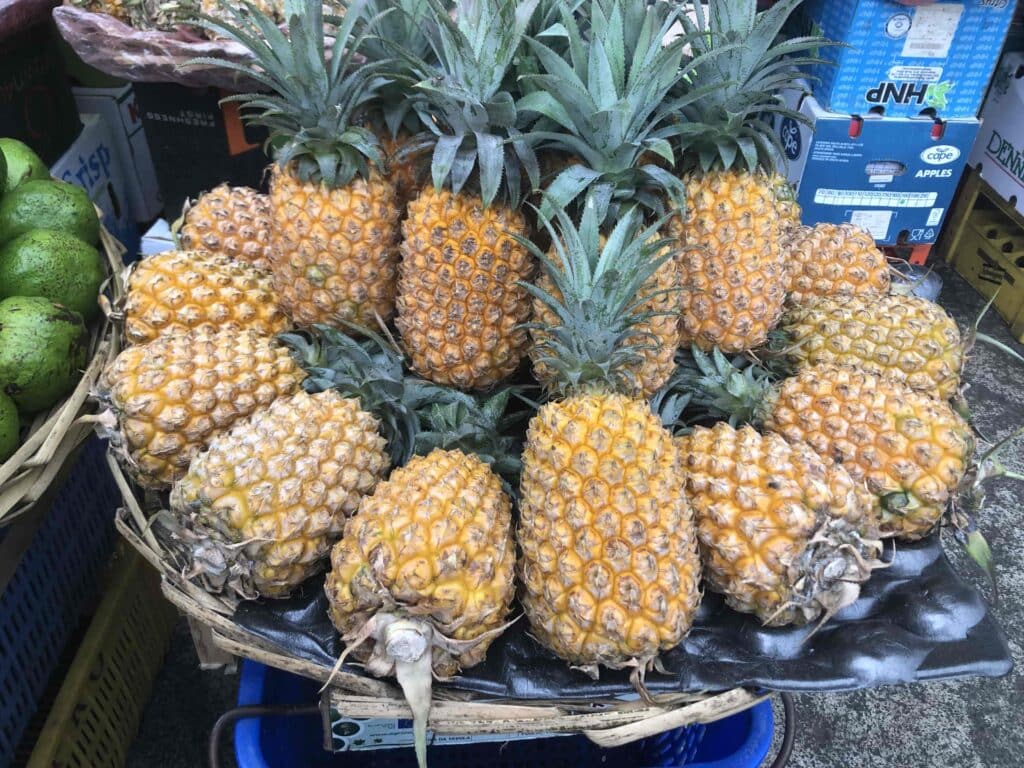 fruits tropicaux - ananas victoria