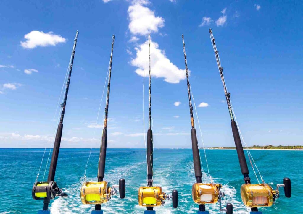 cannes pour la pêche au gros