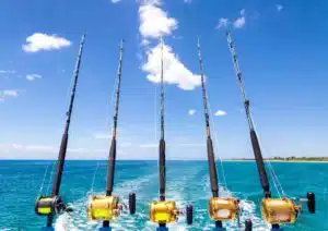 cannes pour la pêche au gros