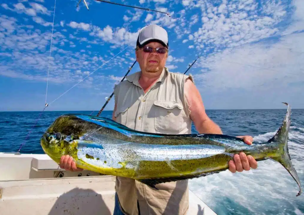 mahi mahi - partie de pêche au gros