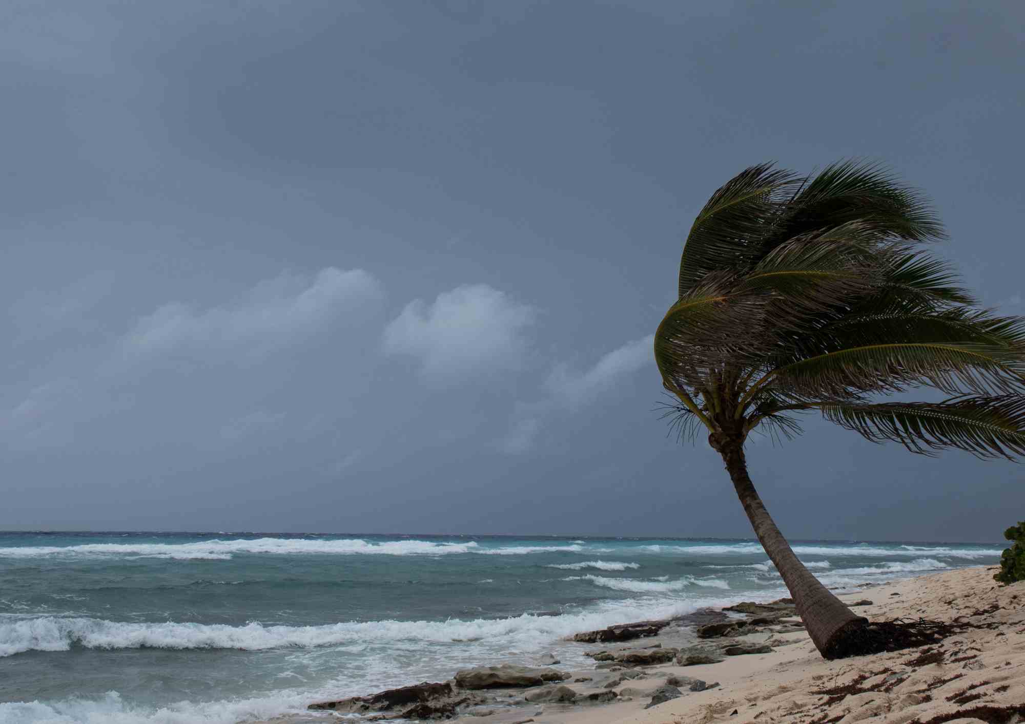 vivre un cyclone à l'Ile Maurice en 2024