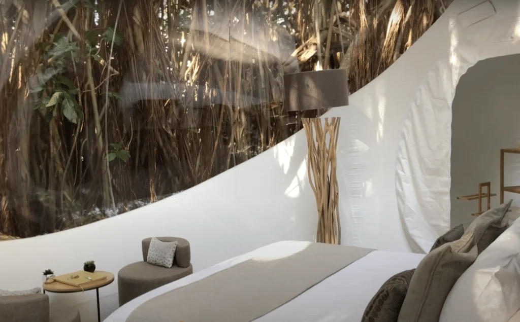 Dans la chambre d'un bubble lodge