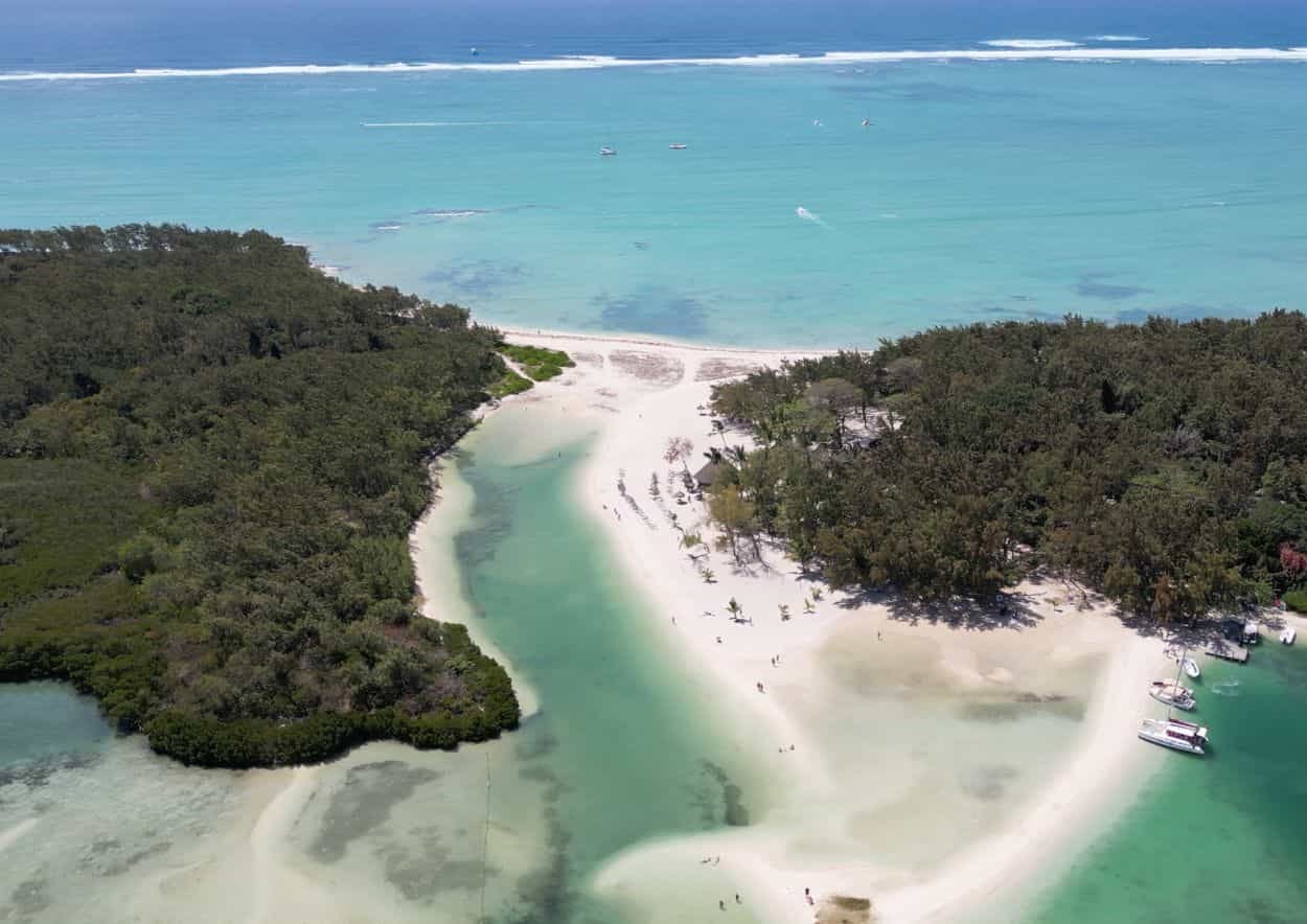 Excursion à l'Ile aux cerfs en 2025, image size:1250x884