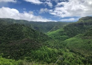 point de vue à plateau remousse dans la parc national des gorges de la rivière noire