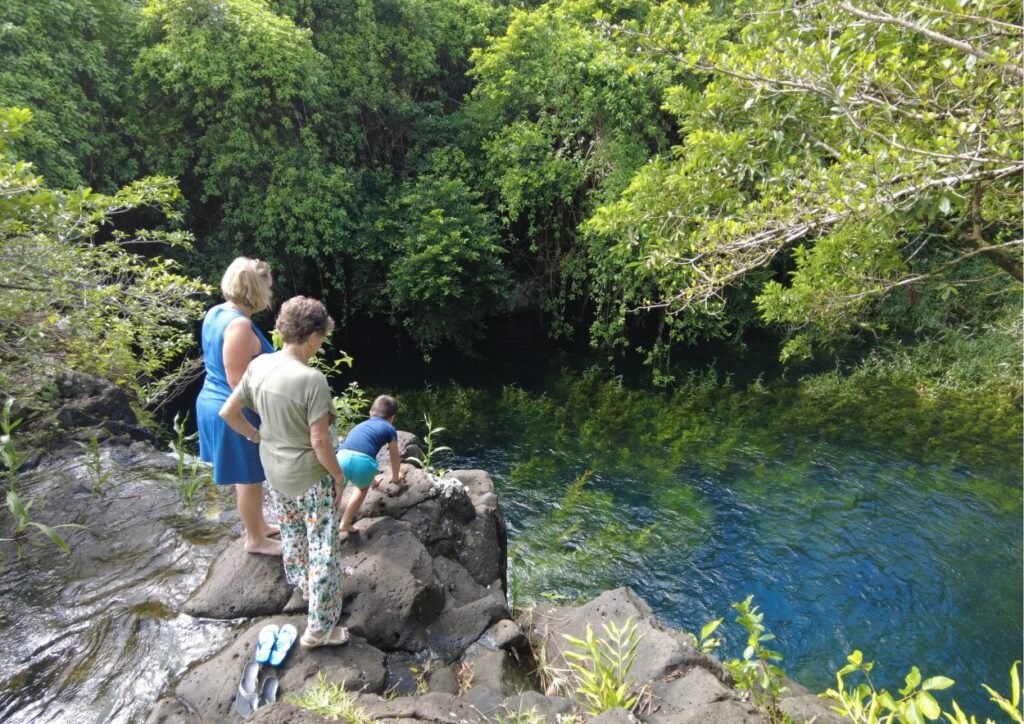 bassin eau bleu en avril