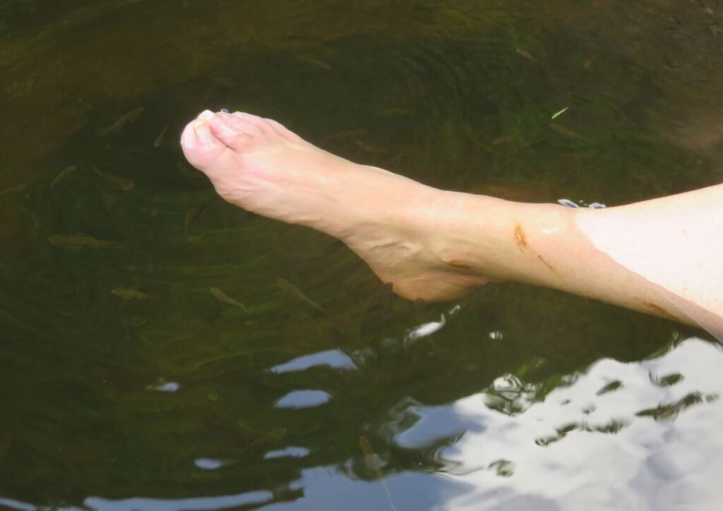 fish spa naturel dans un des bassins de tamarind falls