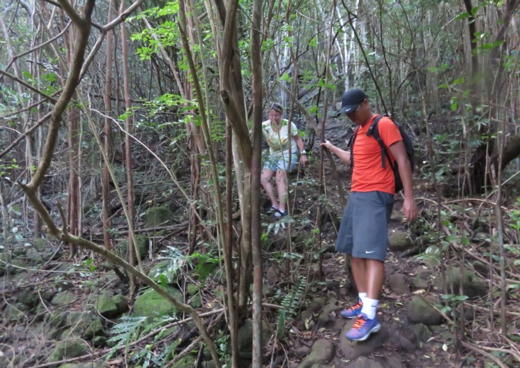 sentier pour accéder aux 7 Cascades