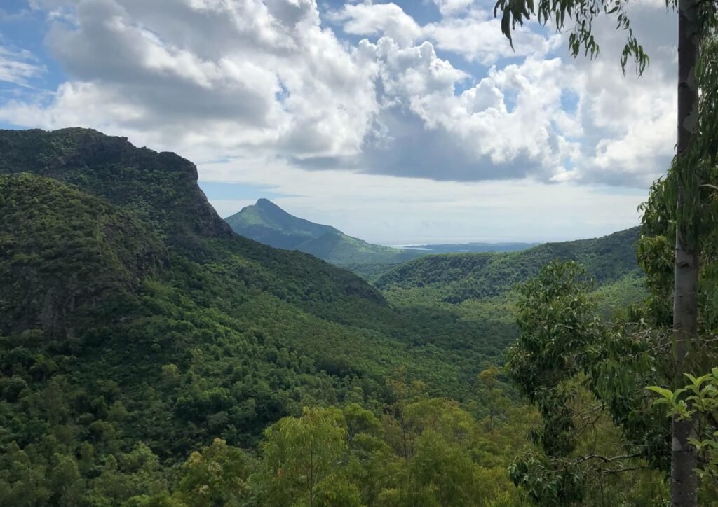 les gorges de rivière noire