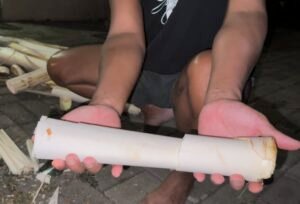 coeur de palmiste à l'ile Maurice