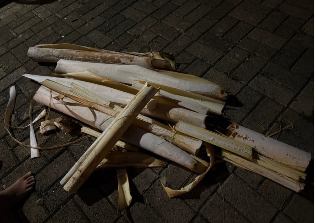 les différentes couches retirés pour accéder au coeur