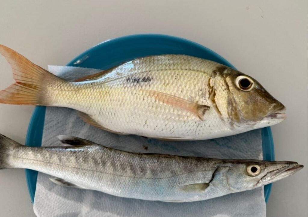 batardé et carrangue