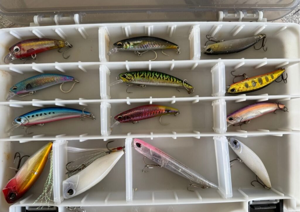 ma boite de leurre pour le shorecasting à l'ile maurice