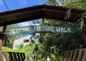 Sophie nature walk entrée