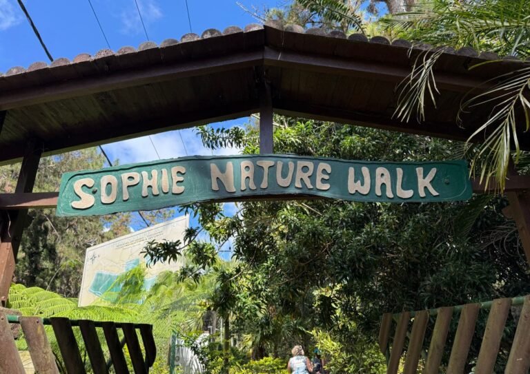 Sophie nature walk entrée